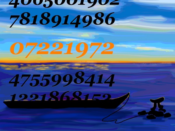 Life of Pi Series - Richard Parker played by the digits starting at the 14,014,624 position of Pi after the decimal point, 07221972, and  Pi played by Pi