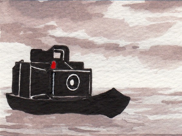 Life of Pi Series - Richard Parker played by a Polaroid Big Swinger 3000
