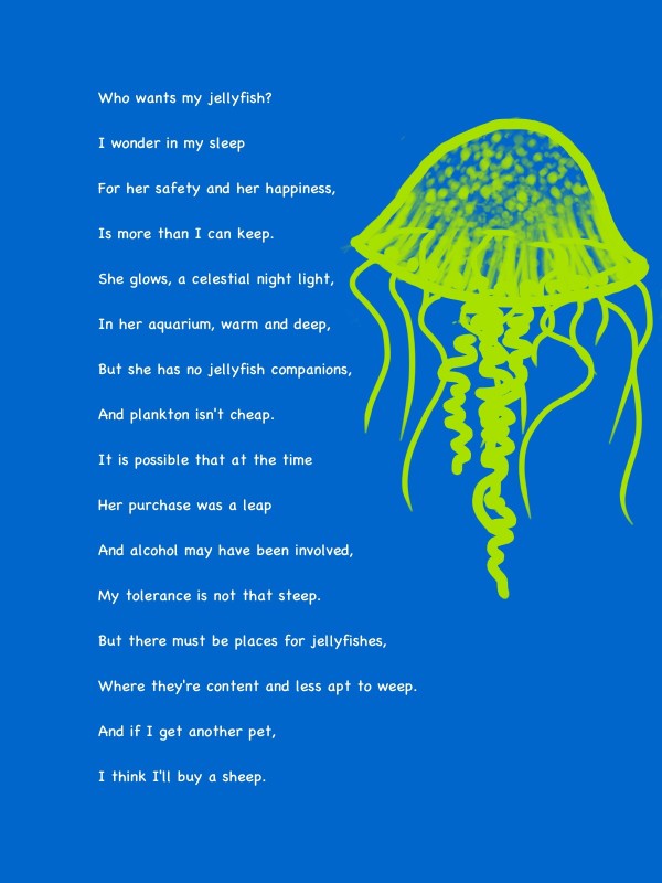 Jellyfish by Meg Kirkwood