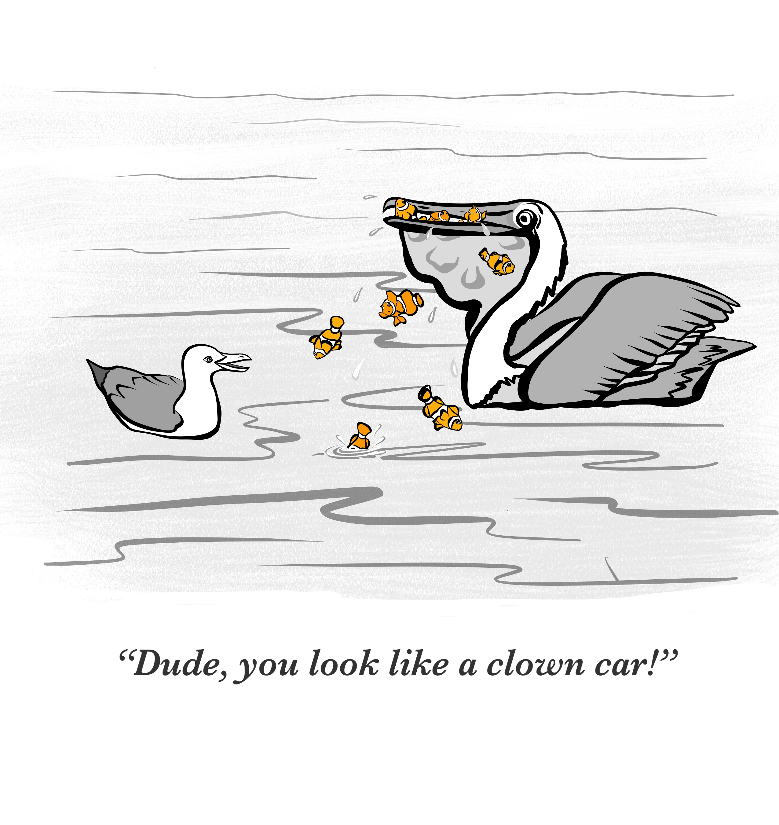 clown-car-pelican